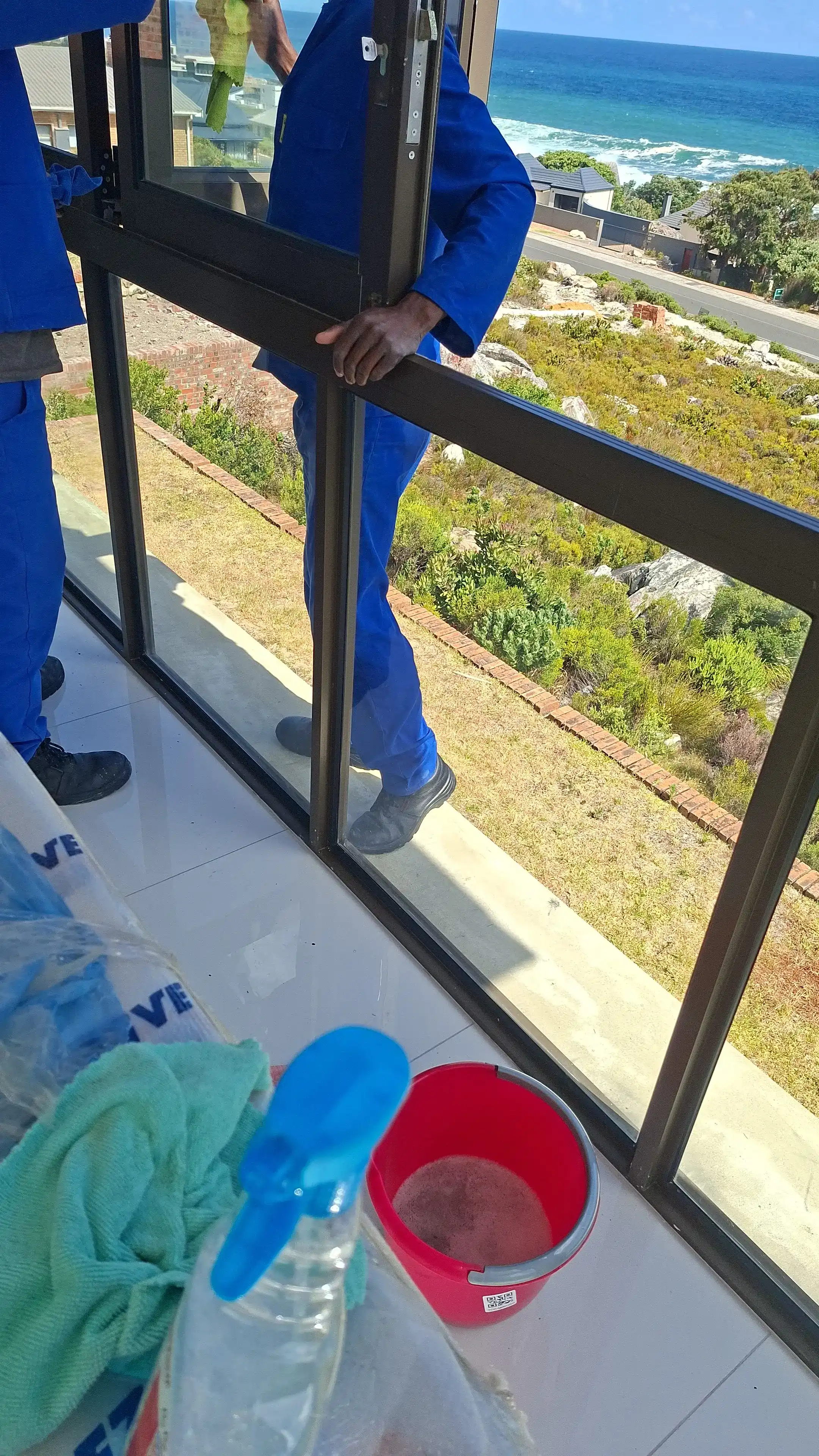 Window cleaning top Zwaanswyk